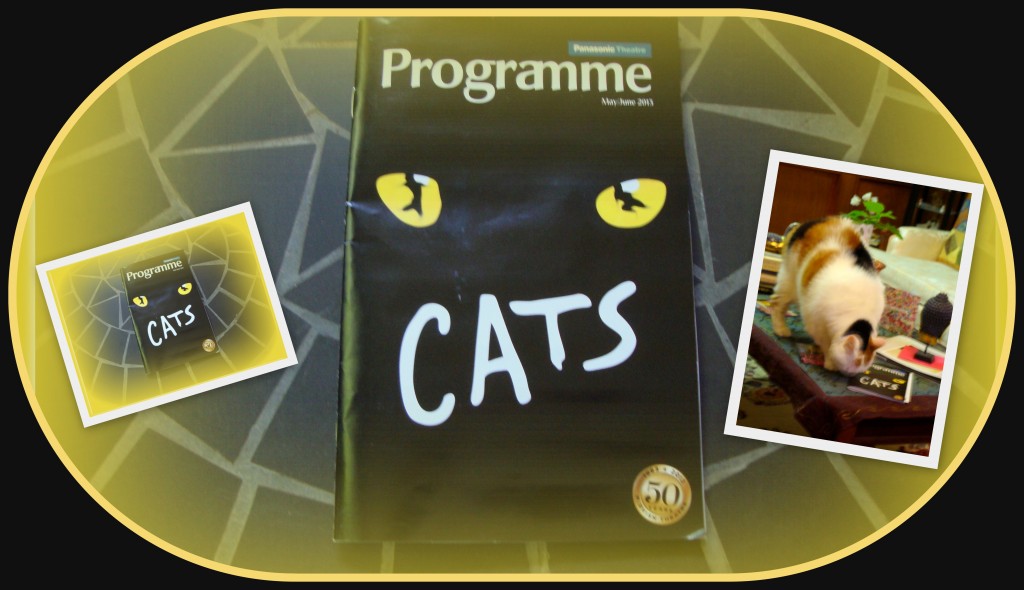 CATS Program (for blog post on CATS)