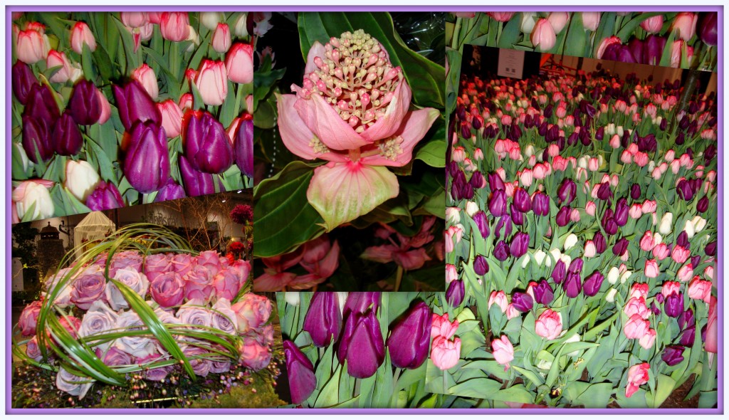 Canada Blooms 2013 (10 top collages)