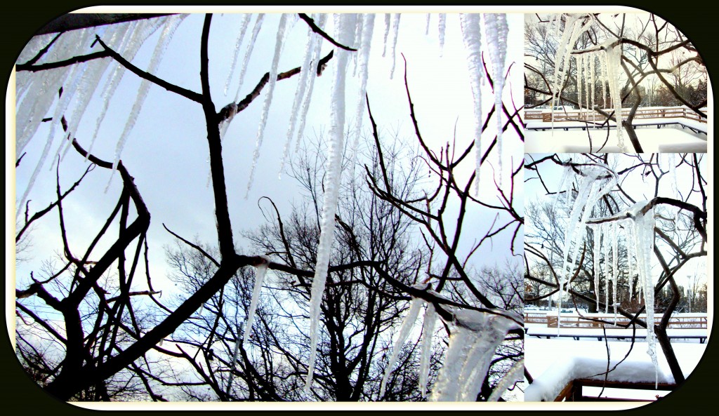 Icicles taken from inside the Grenadier Restaurant - High Park,Toronto