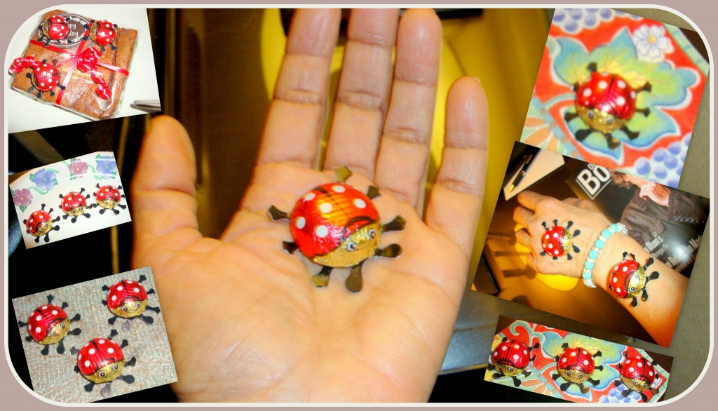 Ladybug Chocolates (1)