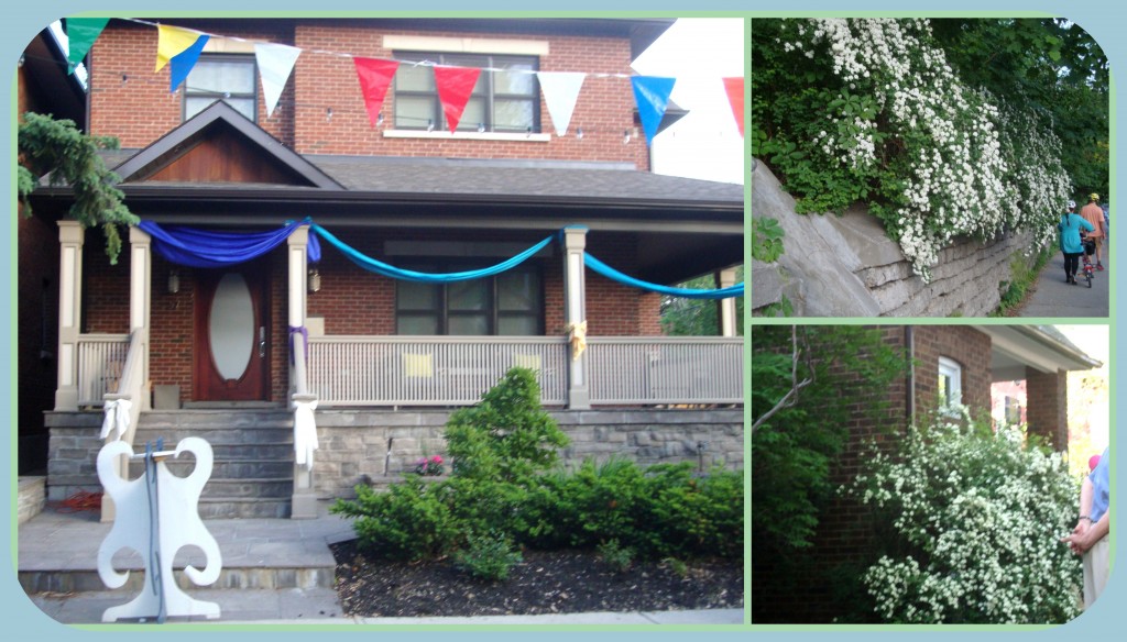 Wanda Party (House with decorations & Spirea blooms on street)