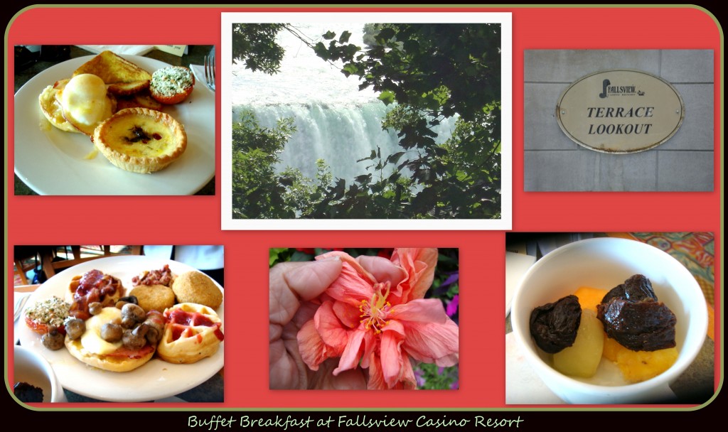 Breakfast at Fallsview (with hibiscus flower)