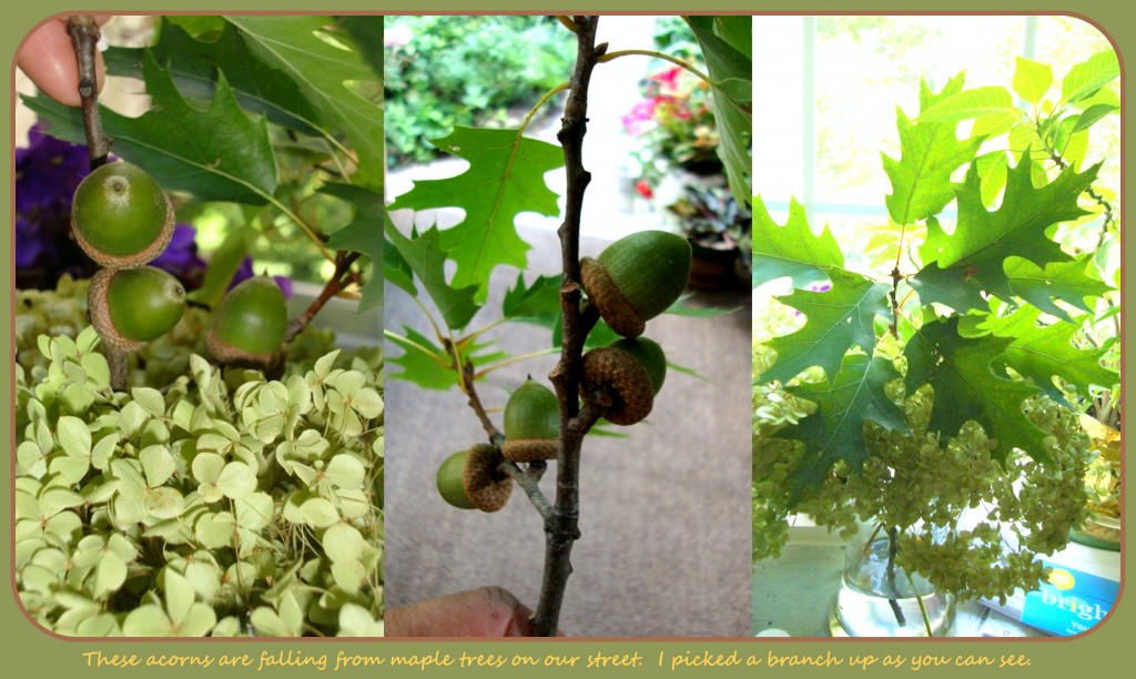 Hydrangea Arrangements (with maple leaf acorns)