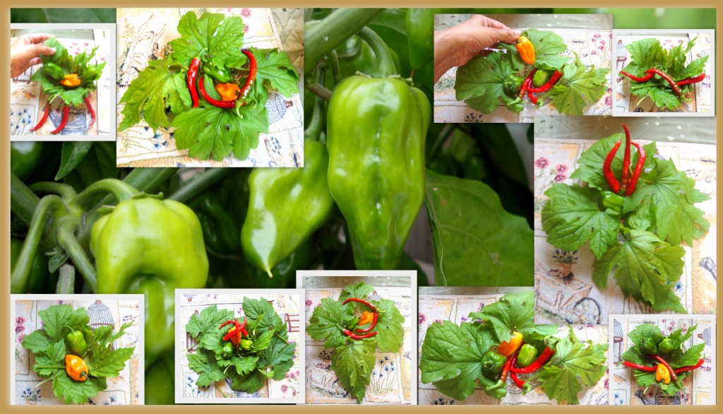 ~ Karela Leaves & Chili Pepper Arrangements