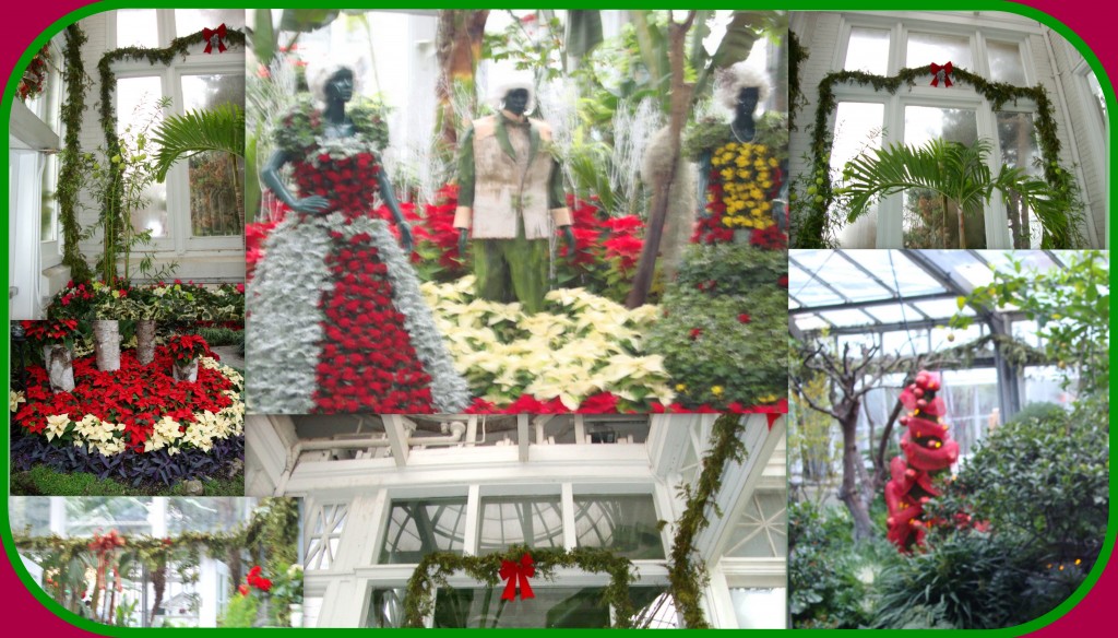 Allan Gardens Christmas Display (Blog 2)