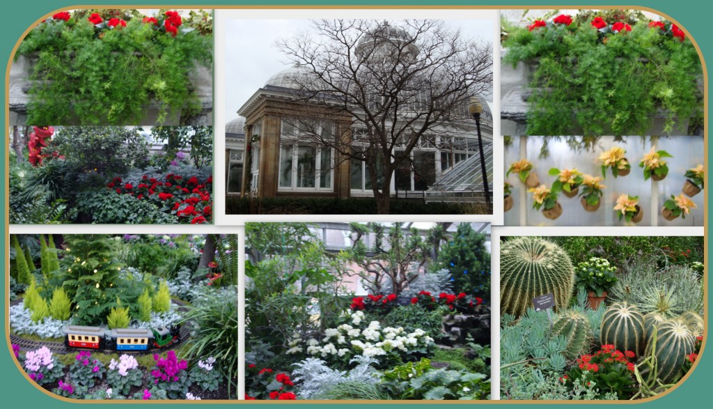 Allan Gardens Christmas Display (Blog 4)