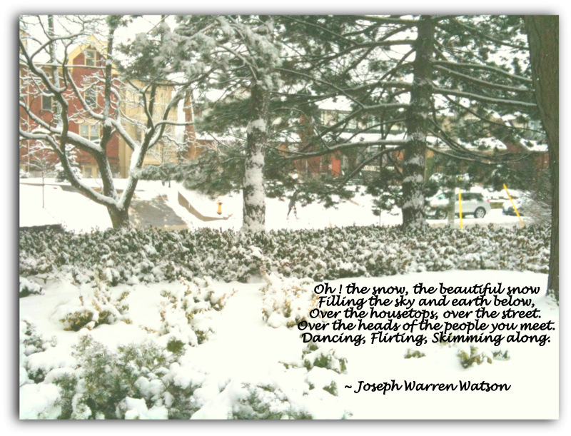 Snow scene with houses