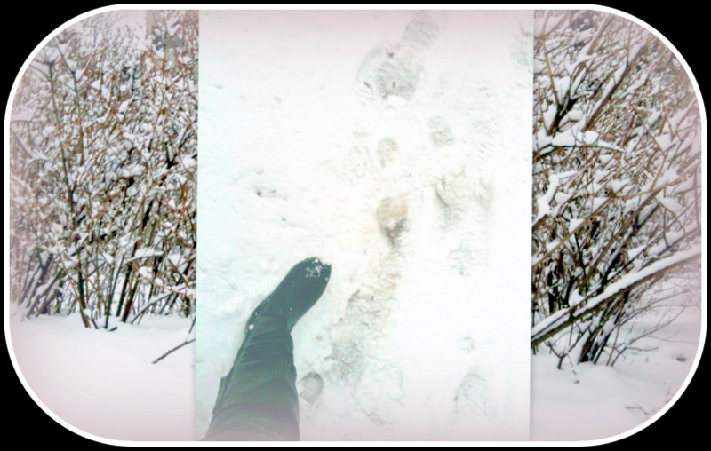 Life is like a field of newly fallen snow. Where I choose to walk, every step will show. (Denis Waitley) 