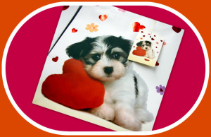 Valentine's Day Dog